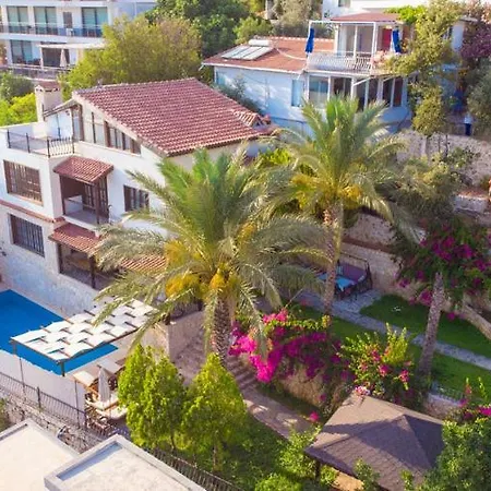 Villa Villa Elfu *