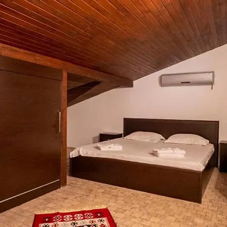 Villa Elfu